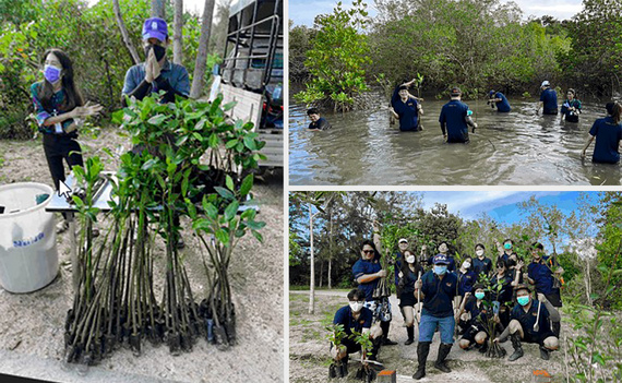 Campanha de plantio de manguezais na Tailândia